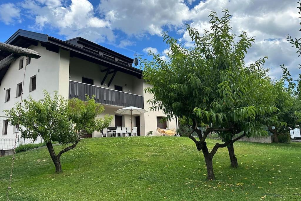 Haus Hafner Sonniges Apartment Terlano Exteriér fotografie